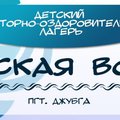 ДСОЛ